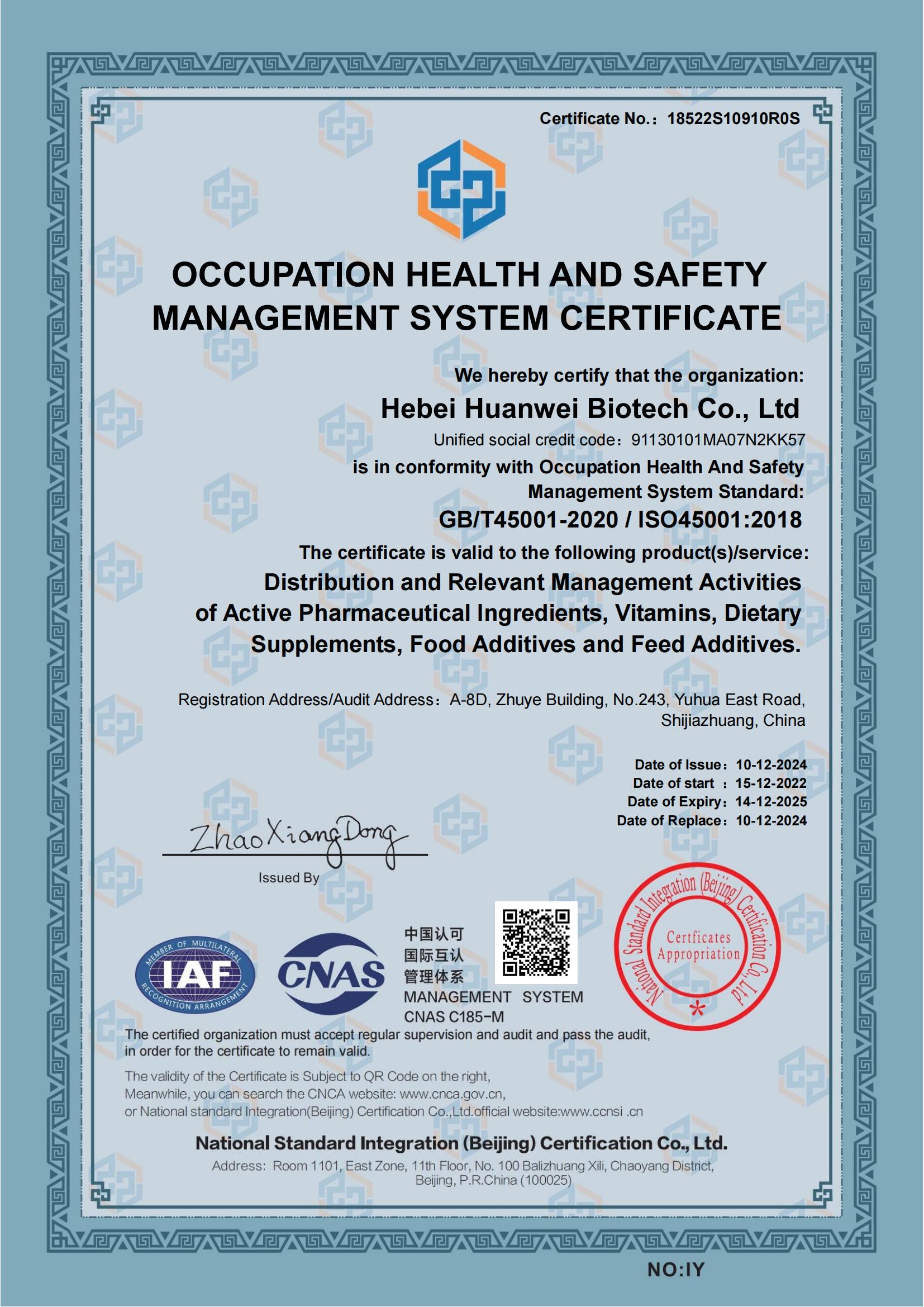 ISO45001-Eng(1)_00